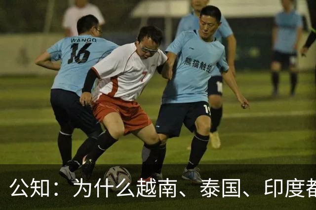 公知：为什么越南、泰国、印度都在“崛起”，就中国不行？