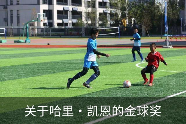 关于哈里·凯恩的金球奖