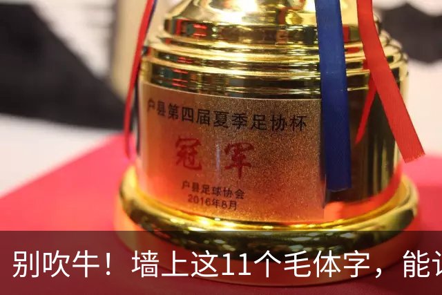 别吹牛！墙上这11个毛体字，能认全的我喊您一声老师！一篇帖临熟以后，怎样知道自己学到了用笔？