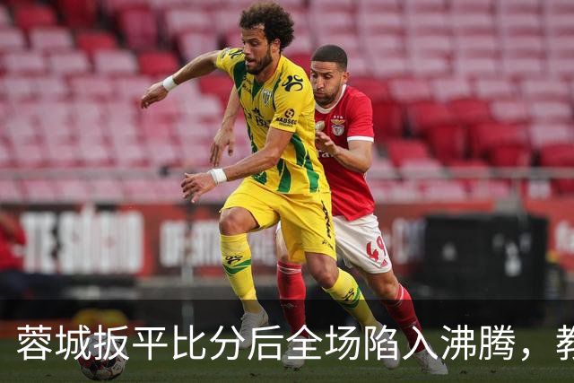 蓉城扳平比分后全场陷入沸腾，教练组冲入场内庆祝