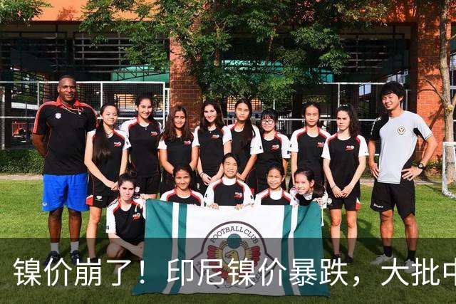 镍价崩了！印尼镍价暴跌，大批中企在印尼镍厂亏惨，集体减产！